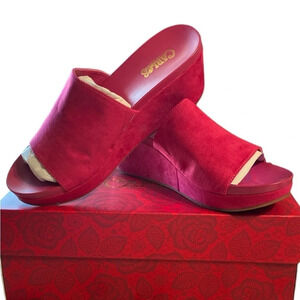 Carlos Santana slide wedges​